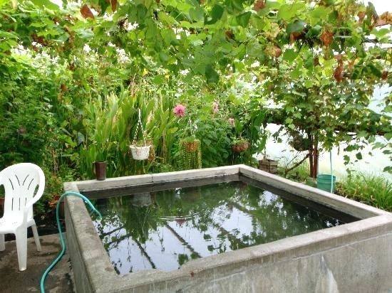 Greenhouse Outdoor Furniture on the dock