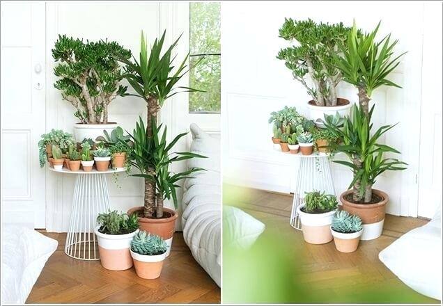 Full Size of Indoor Plants Ideas For Living Room Small Gorgeous Design And Modern Interior Architectures